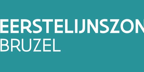 logo bruzel